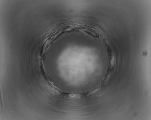 X0000091860520200709261257