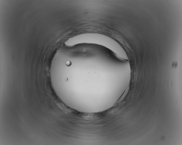 X0000091860521200709261257