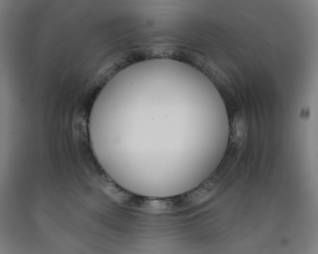 X0000091860522200709261257