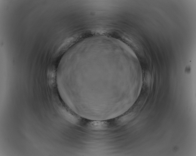 X0000091860526200709261257