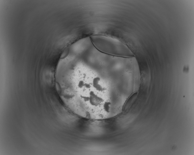 X0000091860527200709261257