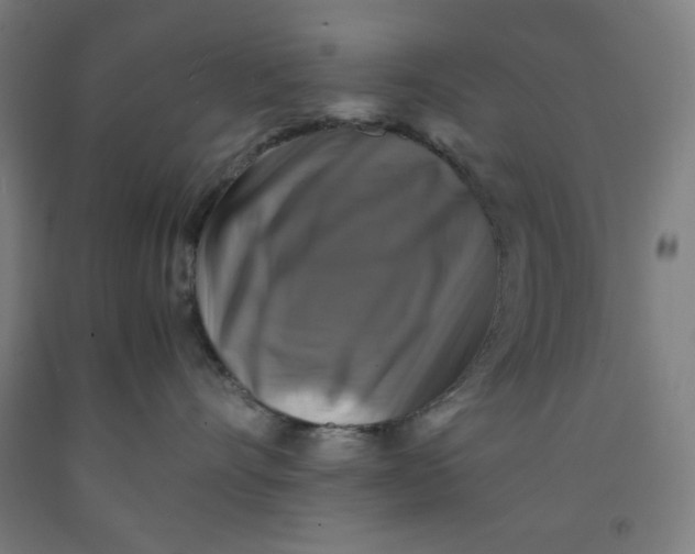 X0000091860528200709261257