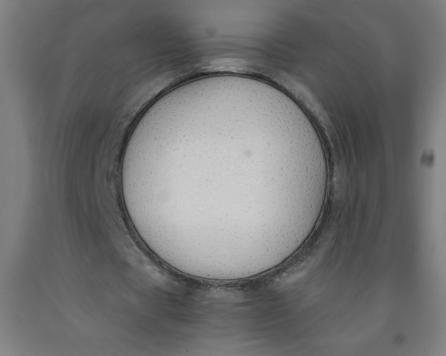 X0000091860529200709261256