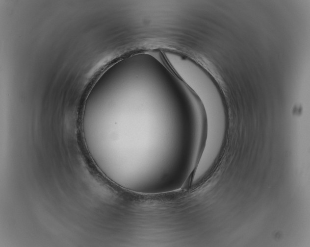 X0000091860530200709261256