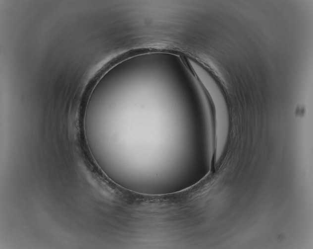 X0000091860532200709261256