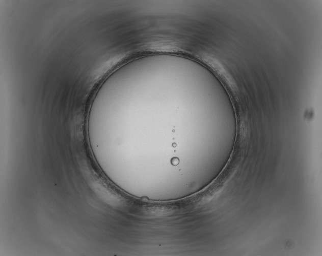 X0000091860533200709261256