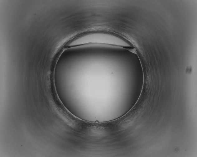 X0000091860535200709261256