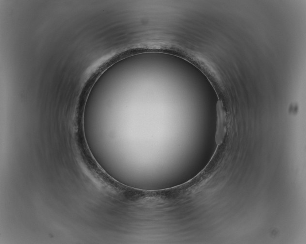 X0000091860536200709261256