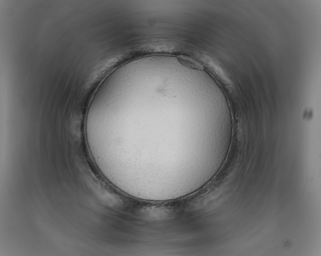 X0000091860537200709261256