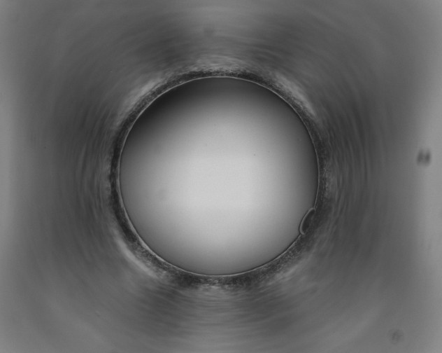 X0000091860538200709261257