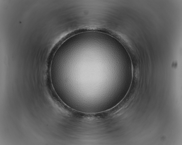 X0000091860540200709261257