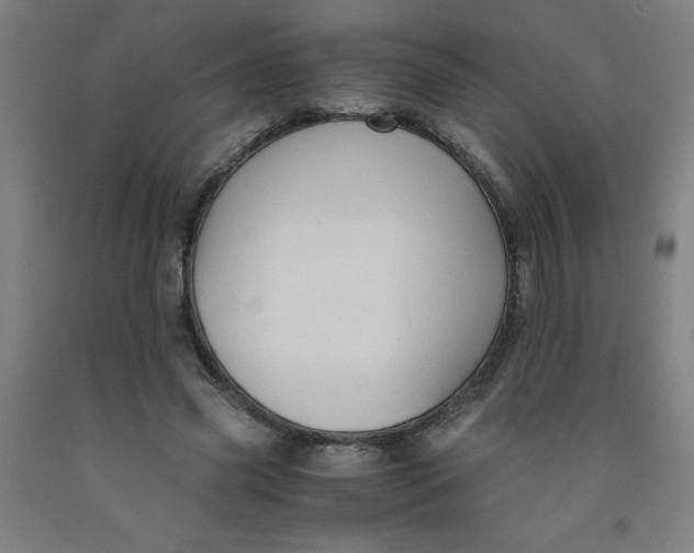 X0000091860541200709261257