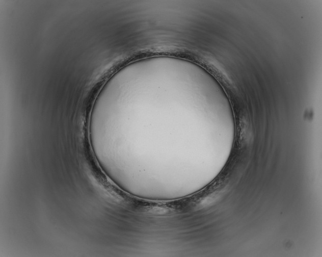 X0000091860542200709261257