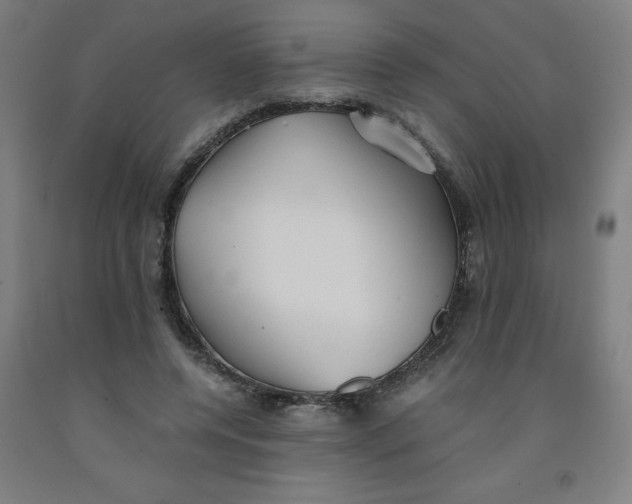 X0000091860544200709261257