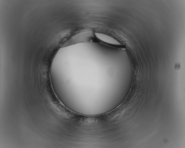 X0000091860546200709261257