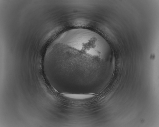 X0000091860547200709261257