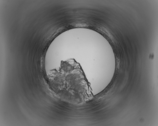 X0000091860549200709261257