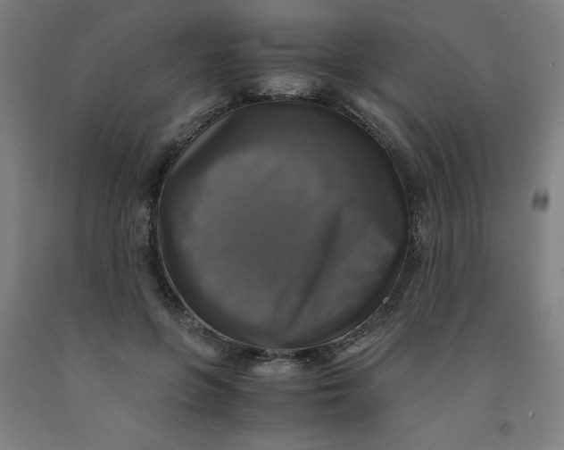 X0000091860551200709261257