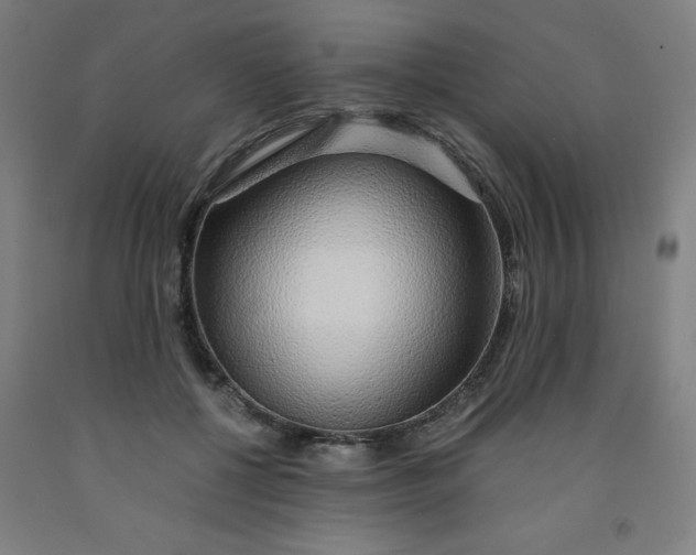 X0000091860552200709261257