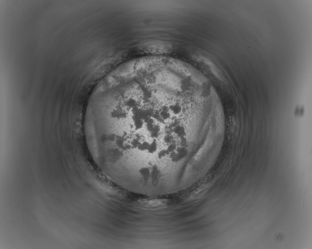 X0000091860553200709261257