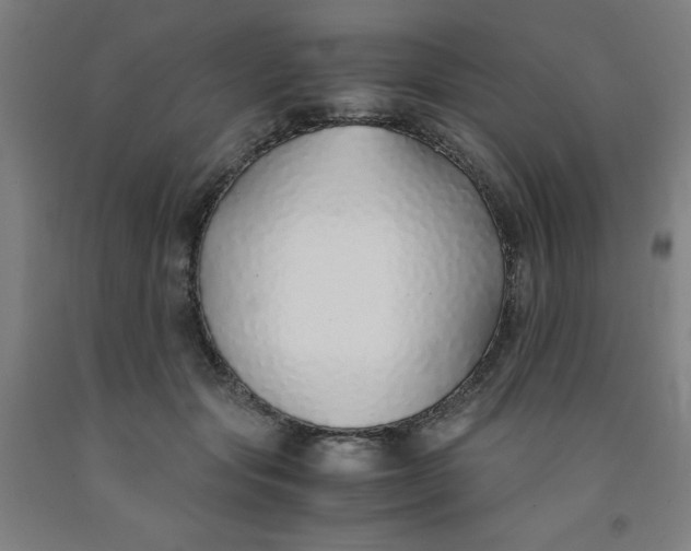 X0000091860557200709261257