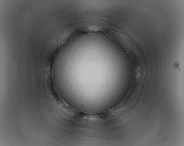 X0000091860559200709261257