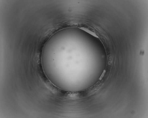 X0000091860560200709261257