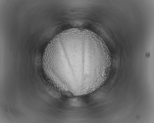 X0000091860561200709261257