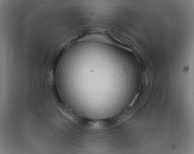 X0000091860564200709261257