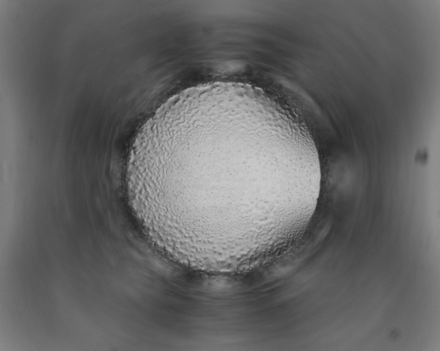 X0000091860565200709261257