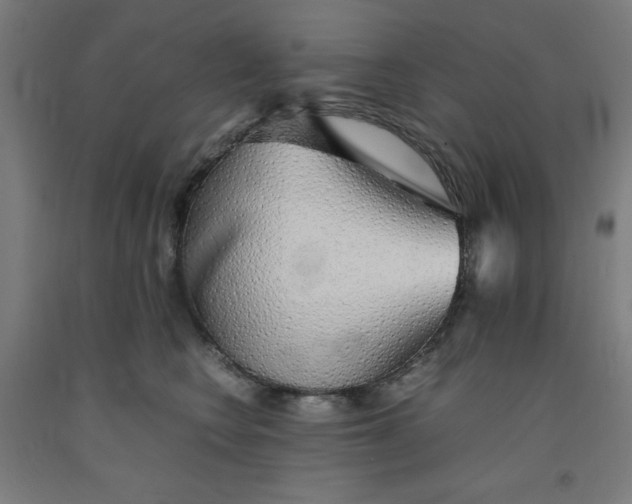 X0000091860566200709261257