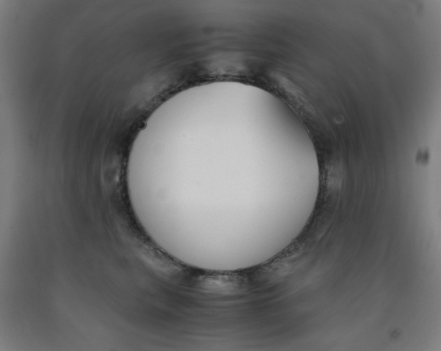 X0000091860567200709261257