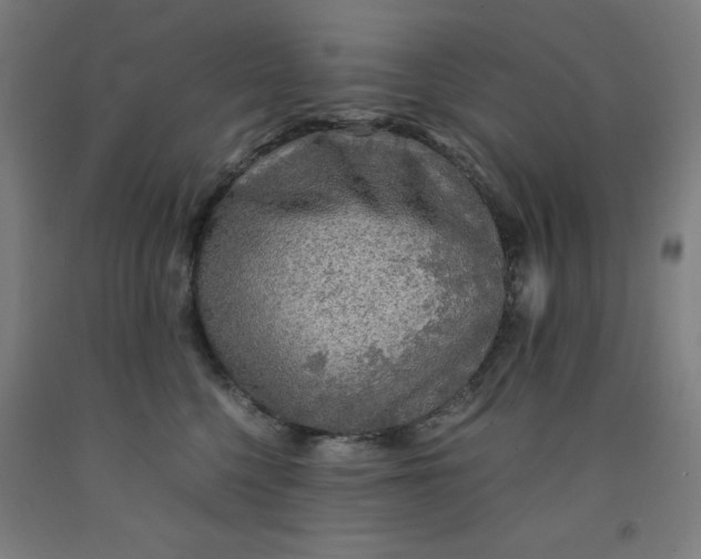 X0000091860568200709261257