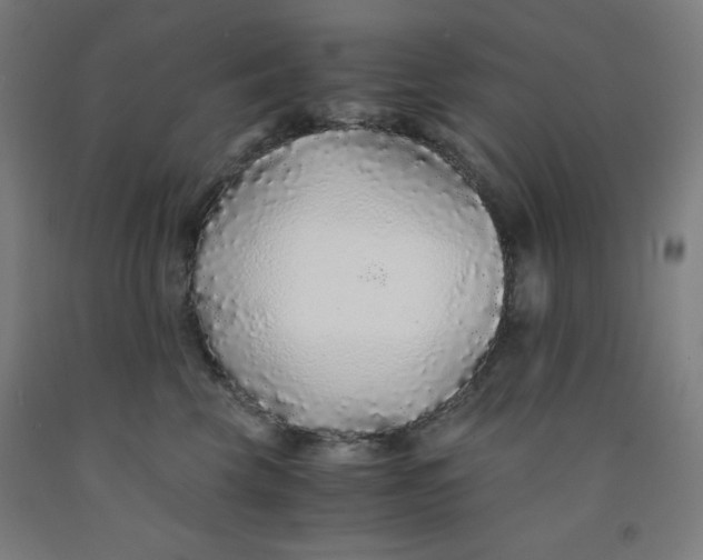 X0000091860569200709261257