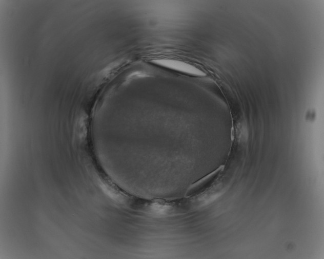 X0000091860570200709261257