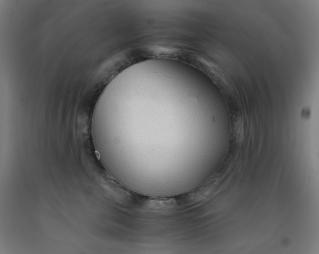 X0000091860571200709261257