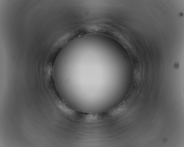 X0000091860574200709261257