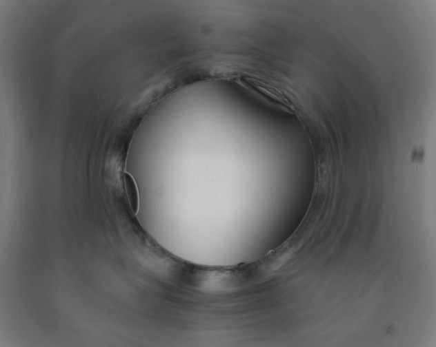 X0000091860575200709261257