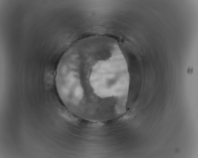 X0000091860576200709261257