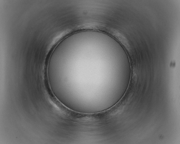 X0000091860578200709261256