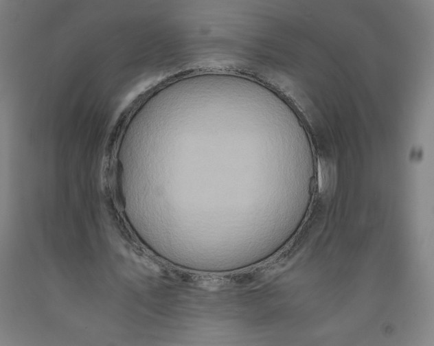 X0000091860579200709261256