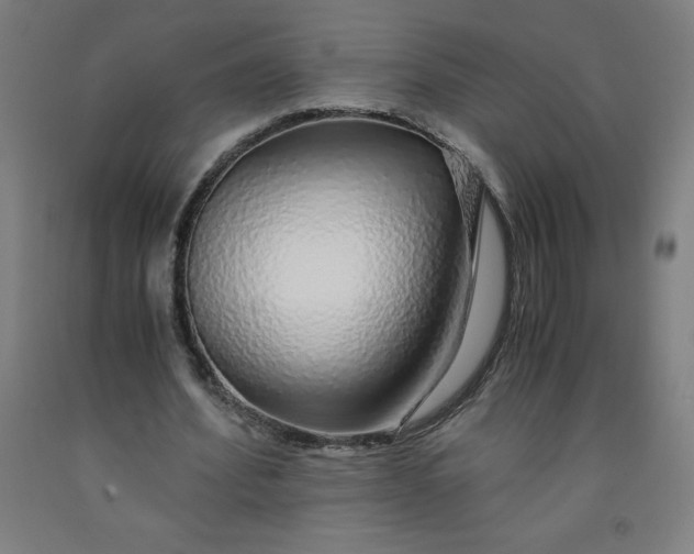 X0000091860580200709261256