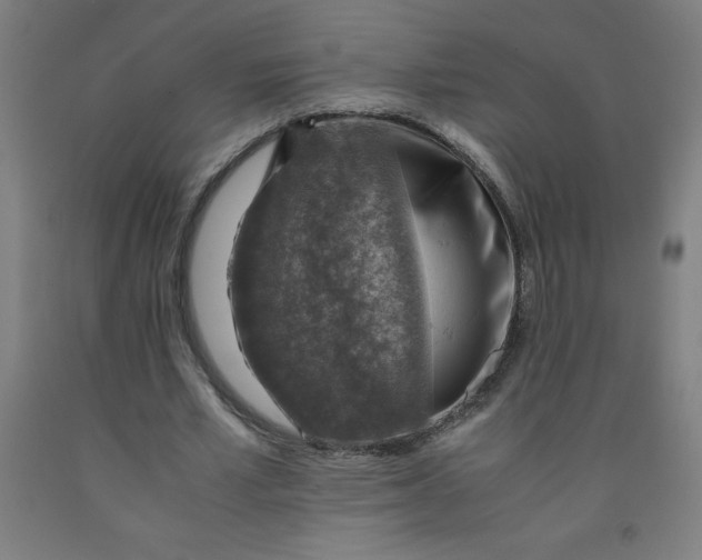 X0000091860581200709261256