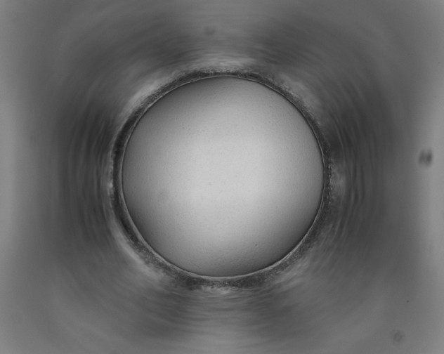 X0000091860582200709261256