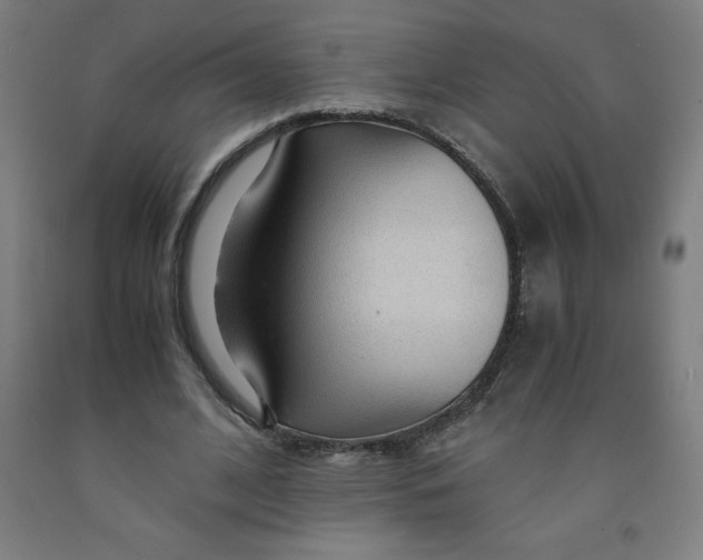 X0000091860584200709261256