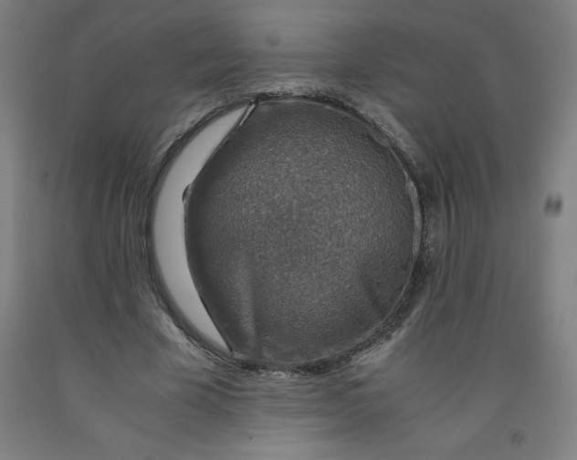 X0000091860585200709261256