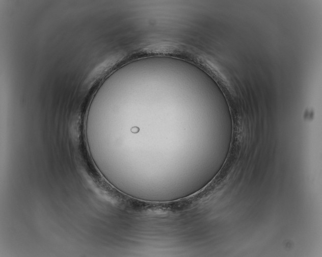 X0000091860586200709261256