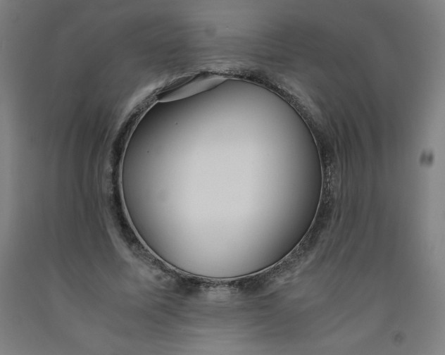 X0000091860587200709261256