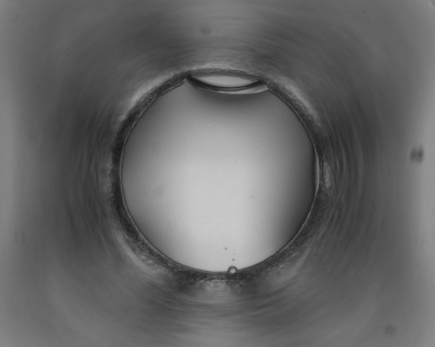 X0000091860588200709261256