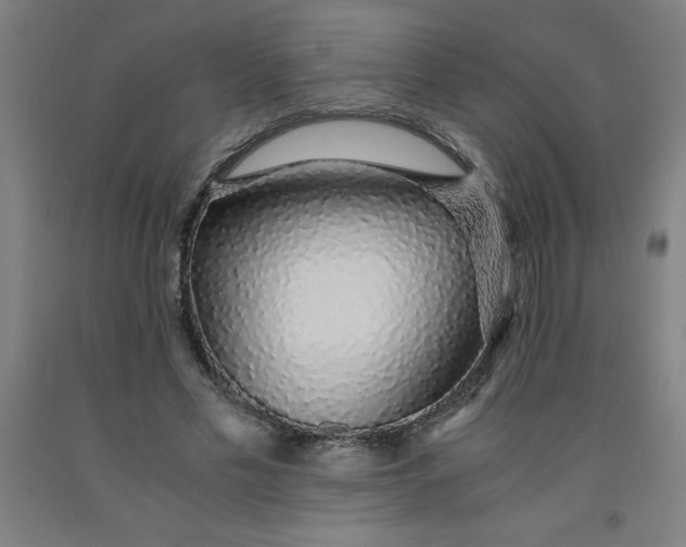 X0000091860589200709261256